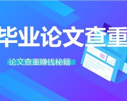 0成本月入过万的论文查重项目