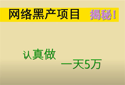 网络黑产揭秘，一天5W的暴利生意 互联网 经验心得 第2张