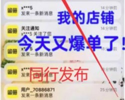 新手小项目：闲鱼卖虚拟产品，无本生意