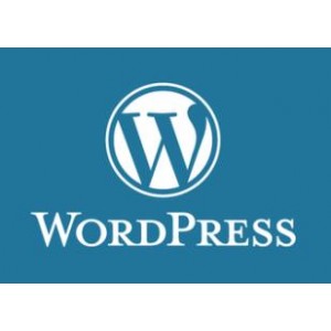 WordPress建站入门到精通系统教程+WP主题开发（27.9G）